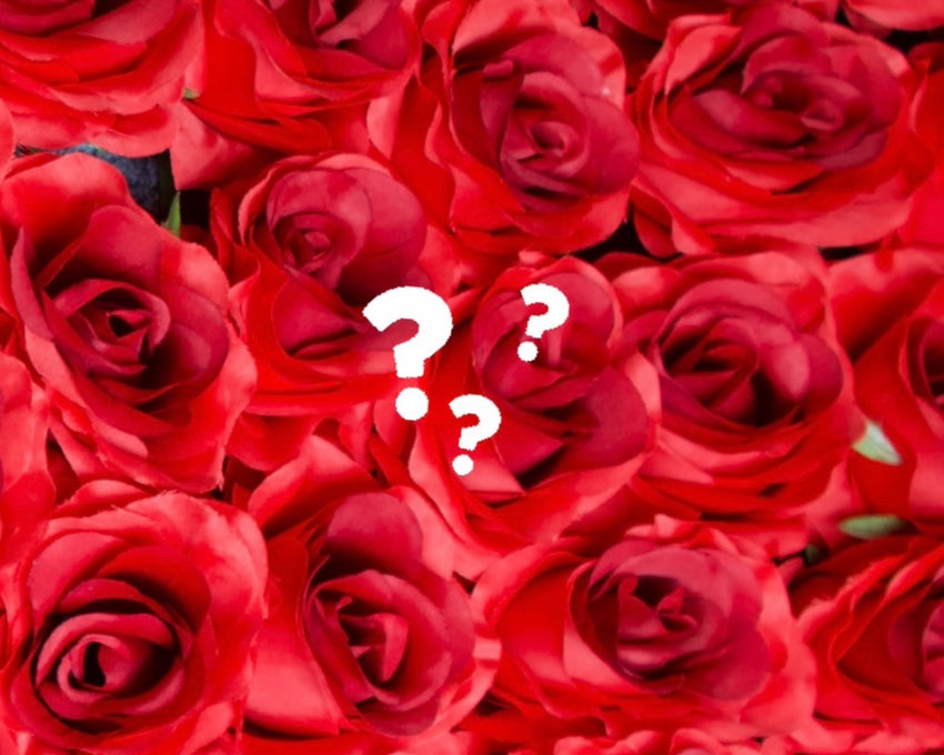 Mystery Valentine Safety Keychain