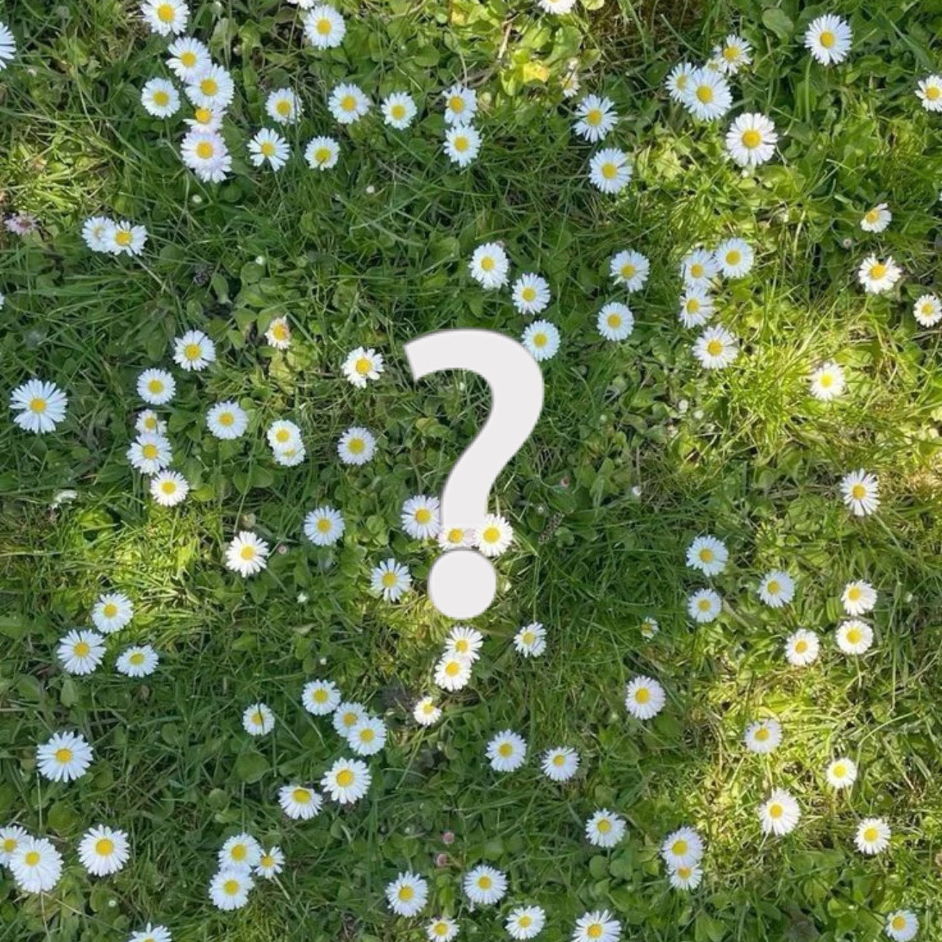 Spring Mystery Safety Keychain